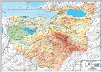 Bursa