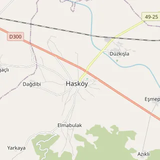 Hasköy Haritası