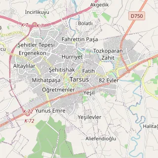 Tarsus Haritası